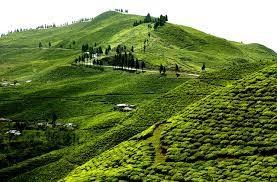 Direct flight from Illam to Kathmandu resumes after  5 months