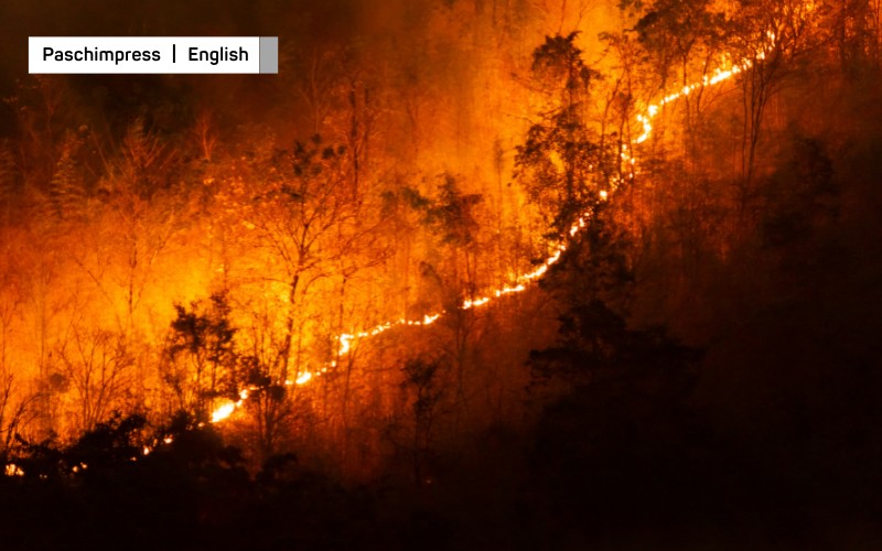 70 Hectares of Forest Area Destroyed by Fire in Myagdi