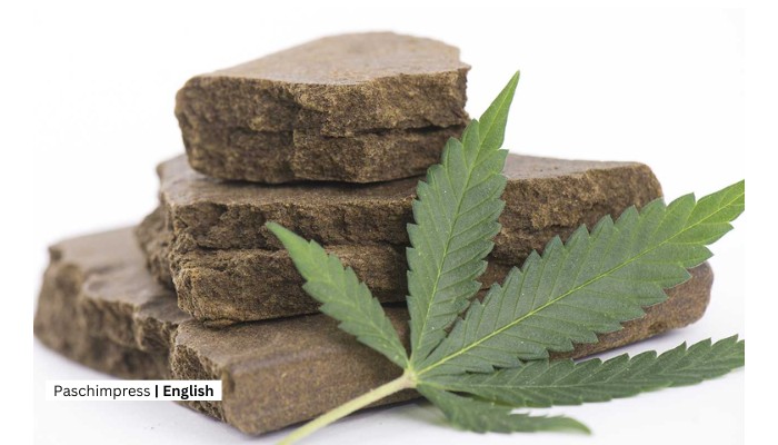 Two persons arrested with 6 kg hashish in Darchula