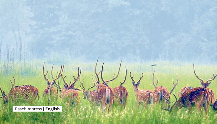 Kanchanpur's tourism potential remains untapped due to lack of infrastructure and publicity