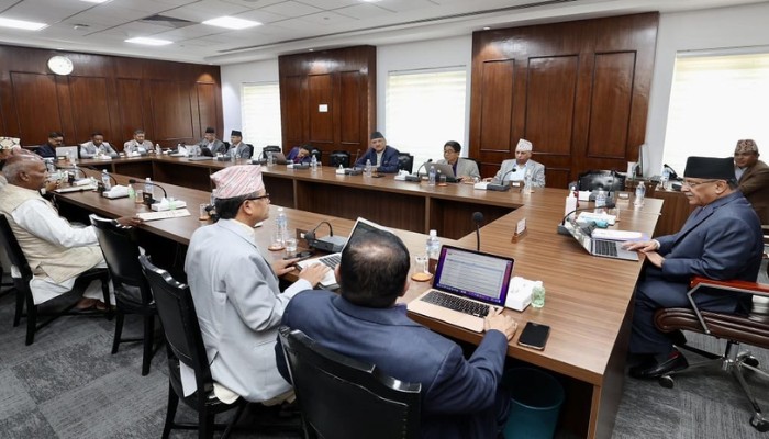 High-level committee to probe Ncell share sale issue begins works